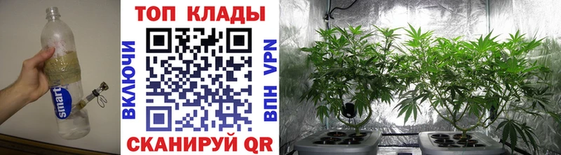 Где купить Спасск-Дальний Бошки Шишки  Гашиш 