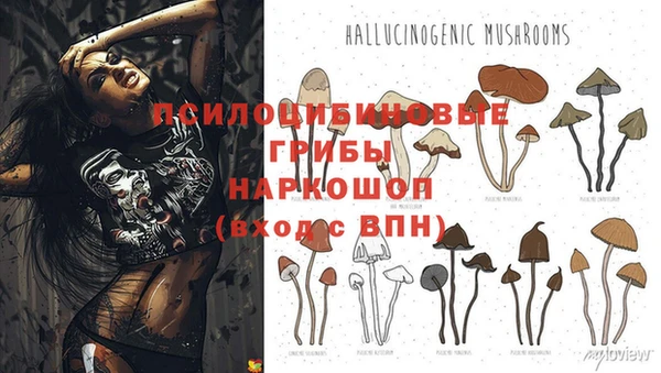 гашишное масло Баксан