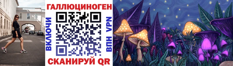 ОМГ ОМГ ссылки  Спасск-Дальний  Псилоцибиновые грибы ЛСД 